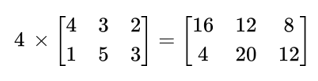 Scaler Multiplication